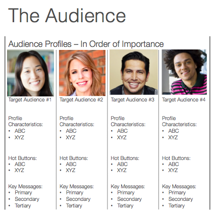 audience profile details