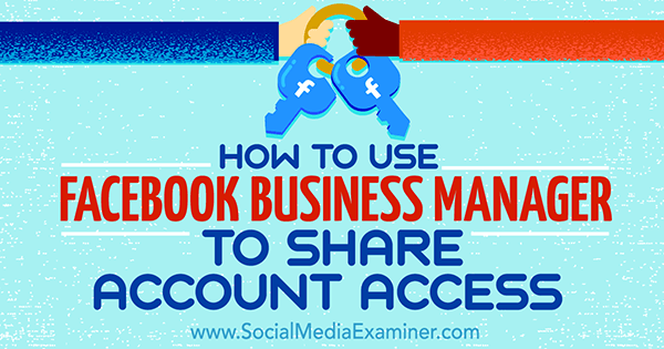 account access facebook business manager