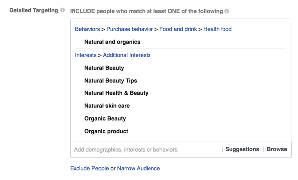 facebook ad detailed targeting options example