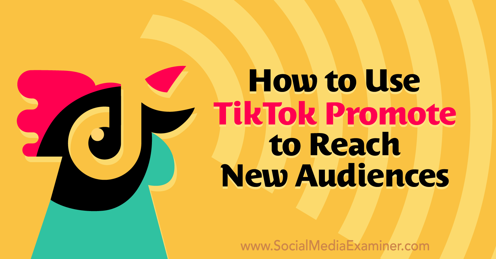 How to Use TikTok Promote to Reach New Audiences Social Media Examiner