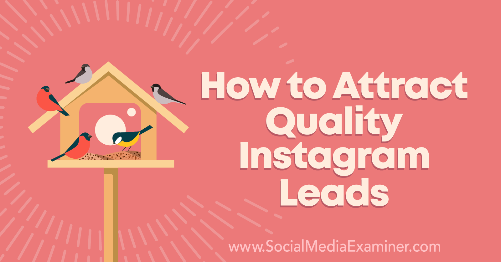 How to Attract Quality Instagram Leads by Anna Sonnenberg on Social Media Examiner.