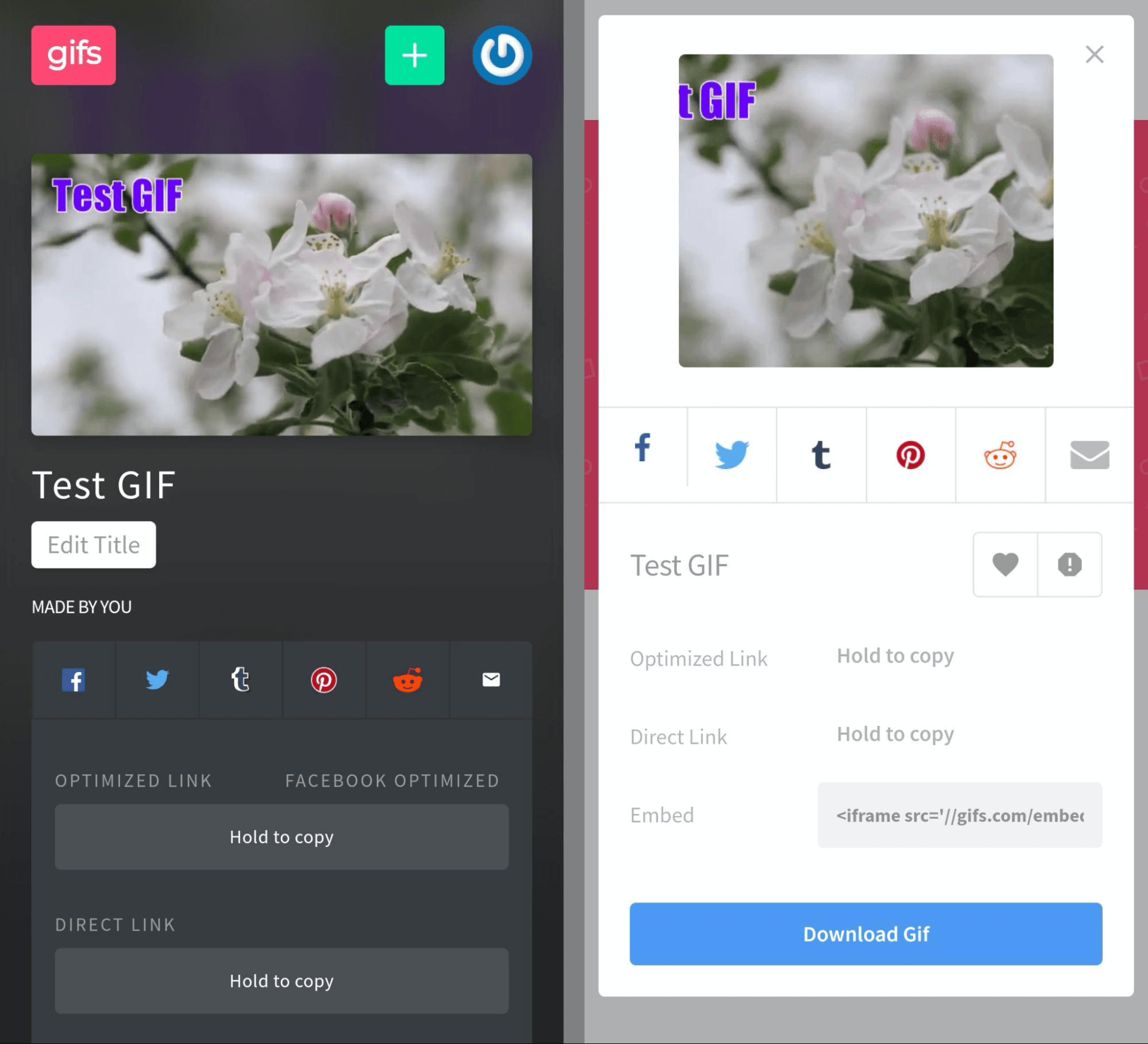 We're thrilled to partner w/ our friends @giphy to launch GIFs in our  On-Platform Community! 🥳 You can now reply to any post with a GIF…