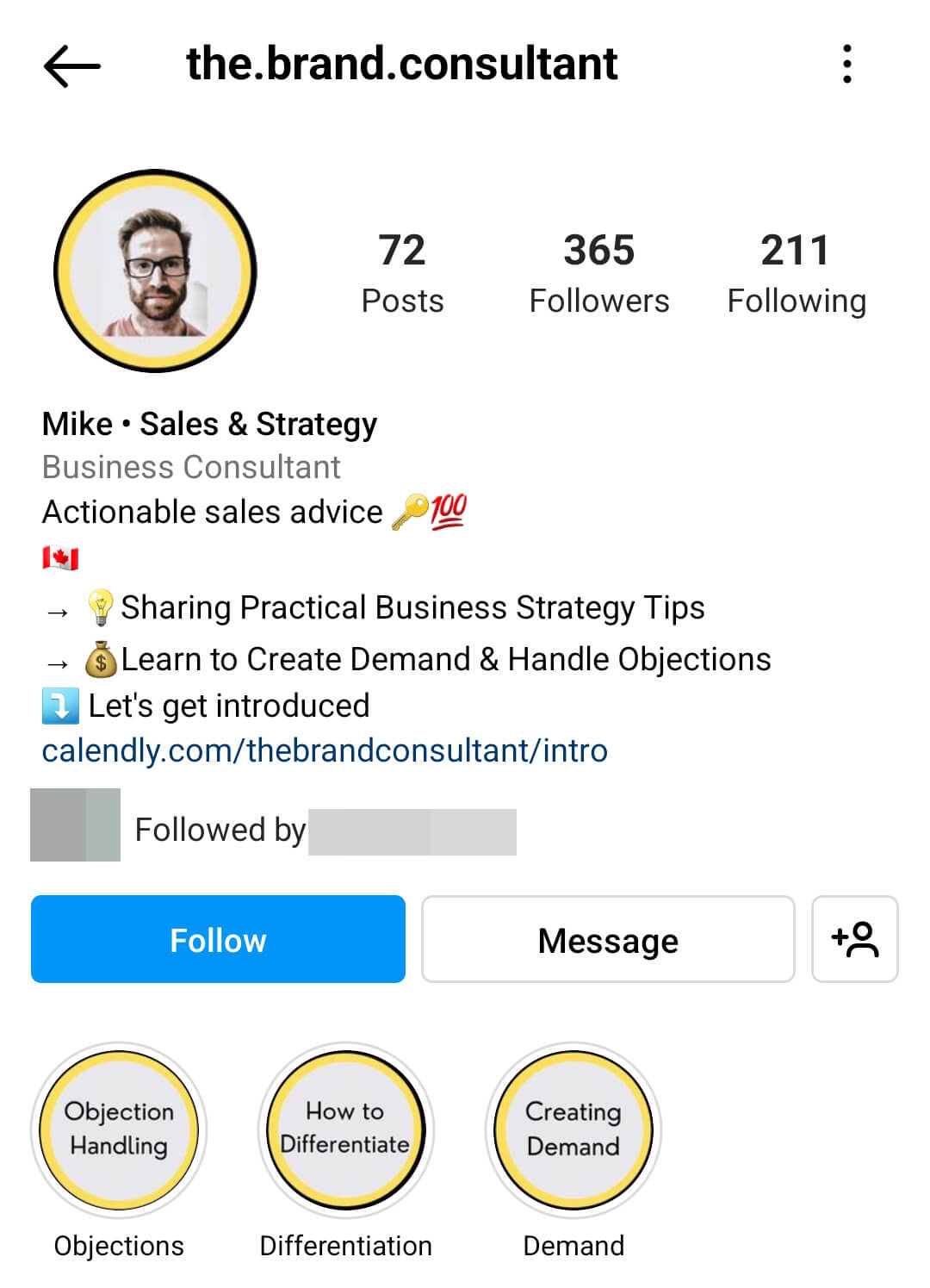 Example15 Instagram Bio The.brand .consultant Service Provider Example 