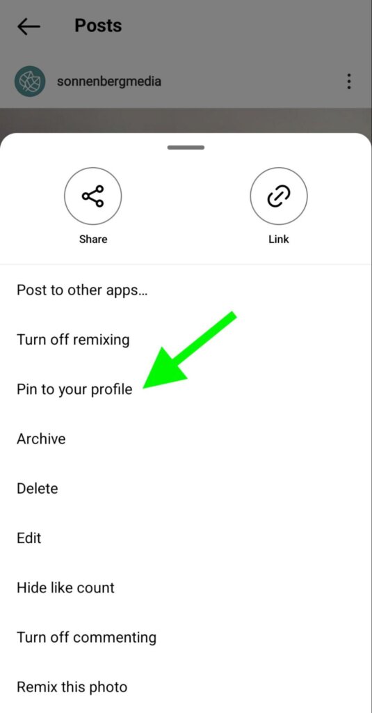 Instagram Marketing: How To Pin Posts And Reels To A Profile : Social ...