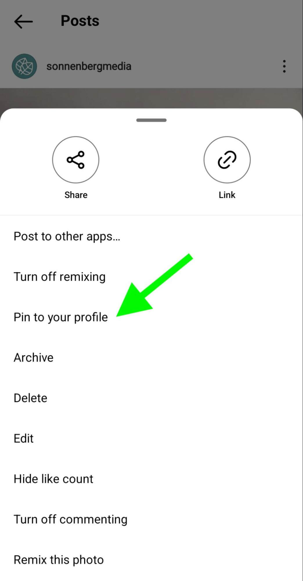 Instagram Marketing How To Pin Posts And Reels To A Profile Social 