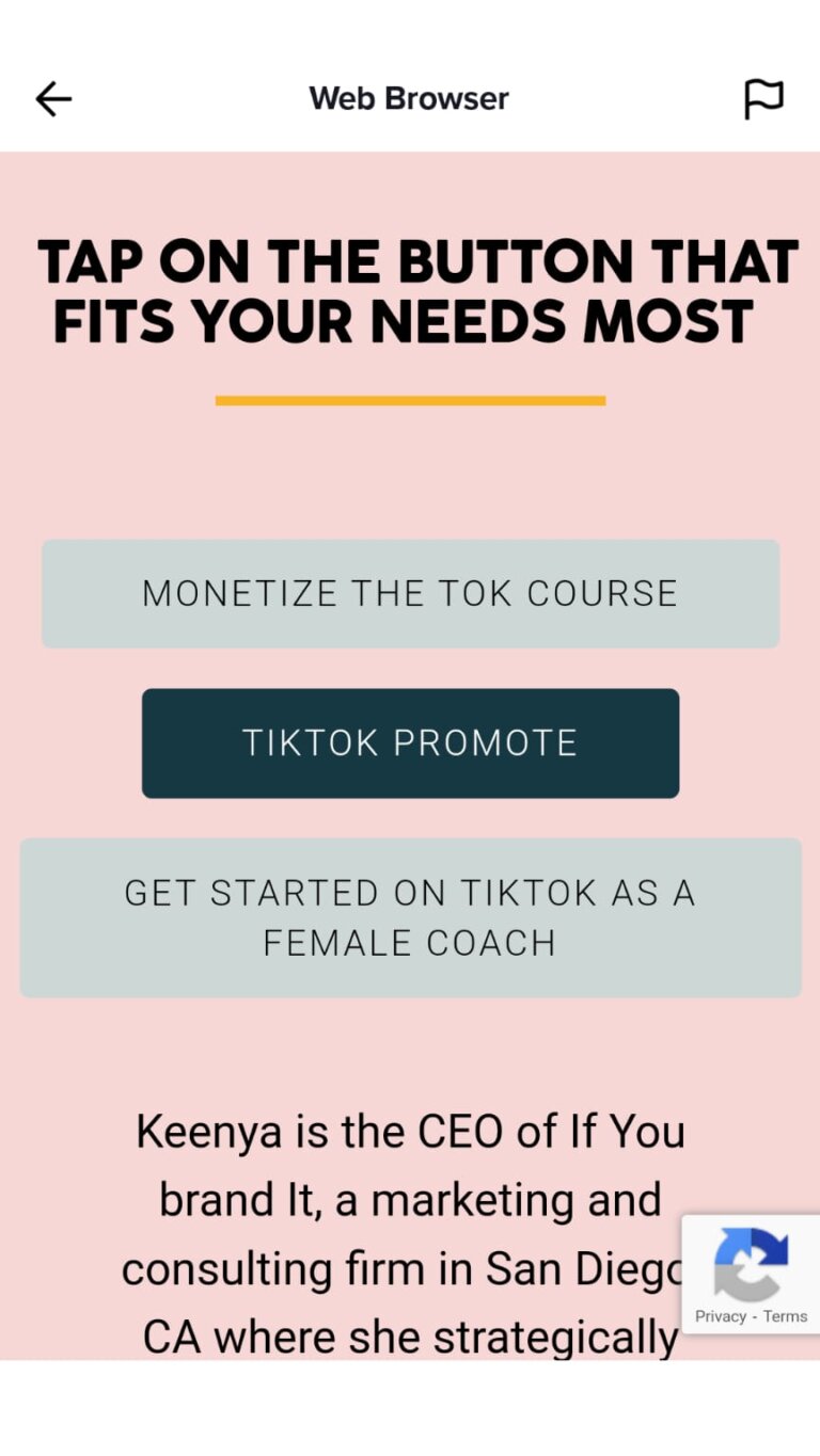 How To Use TikTok To Grow Your Influence : Social Media Examiner